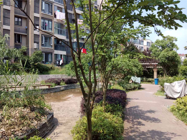 东郊小镇第八街区