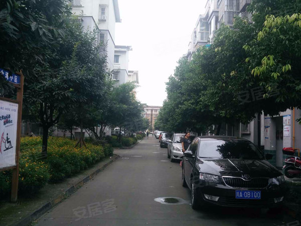 成都小区 双流小区 彭镇小区 金湾小区实景图 1 12#xe012