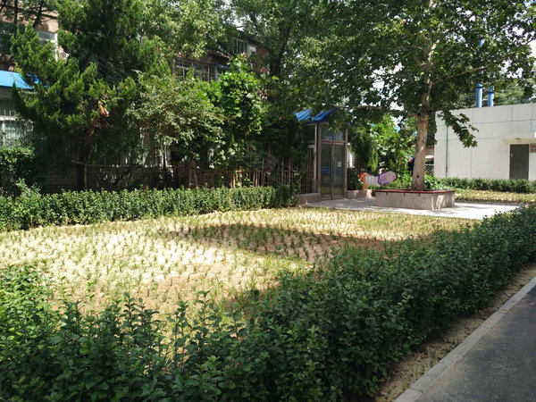 大慧寺8号院