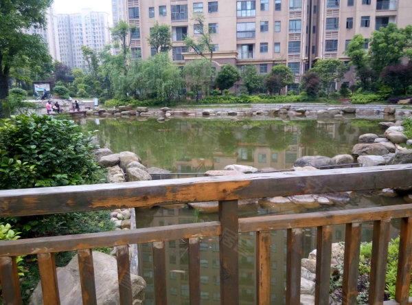 芙蓉南路 带子母车位 景观房 豪华装修 南北通透 拎包入住