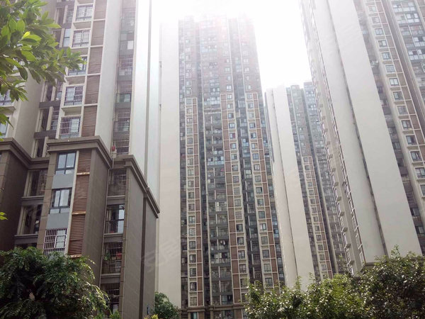 锦城逸景c区