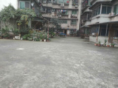 240x180.jpg?t=1