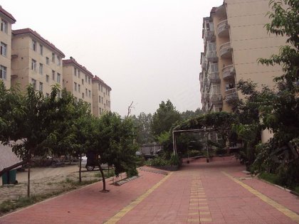 小马新村人口_小马新村图片