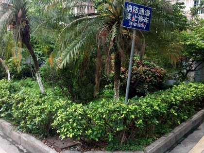 长湴村人口_广州市白云区长湴村