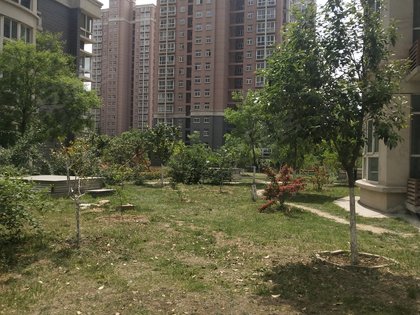 苹果园小区人口_深圳苹果园小区图片