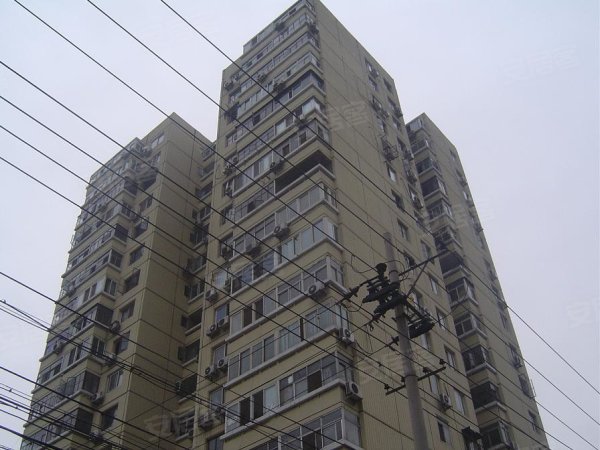 600x600.jpg