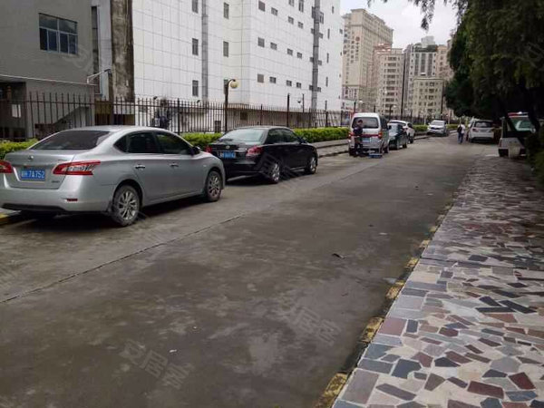 深圳小区 龙华小区 民治小区 馨园(一期 实景图 1 16#xe