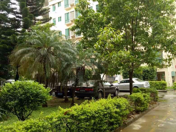 深圳小区 龙华小区 民治小区 馨园(一期 实景图 1 16#xe