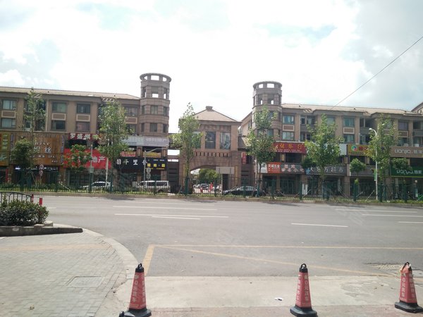 上海小区 浦东小区 新场小区 东方冠郡(别墅 实景图 1 5&