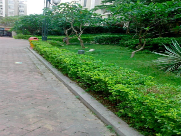 锦绣江南,德泰路2号 - 泉州锦绣江南二手房,租房,房价-泉州安居客