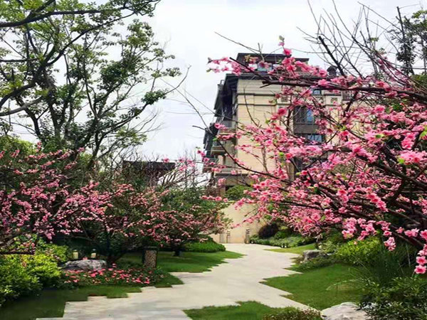 升龙桃花园著,绿水街,近亚鹏路-南京升龙桃花园著二手房,租房-南京