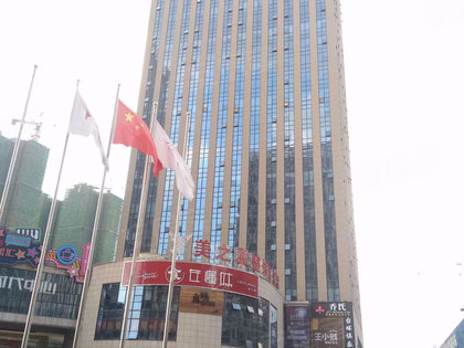 星沙流动人口_人口流动(3)