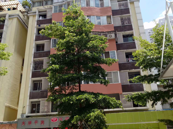 深圳小区 南山小区 南山中心小区 南海明珠  实景图 1/ 20  &
