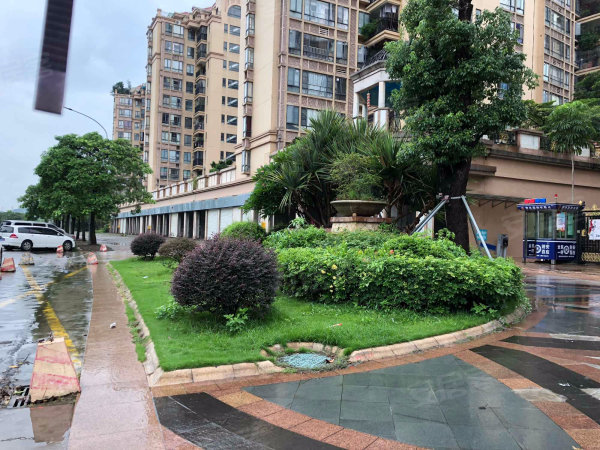 滨江花园 带平台花园 装修好 朝南看花园 满五唯一 性价比高