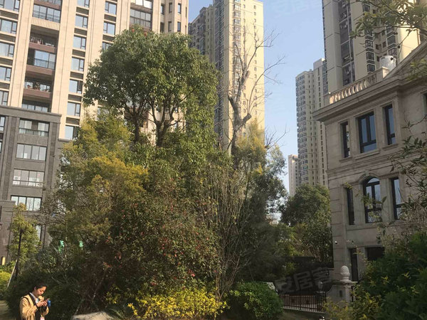 宝龙御湖官邸(公寓)户型图实景图片