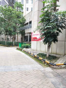 金沙角小区图片相册,柳州金沙角小区实景图,室外图,图