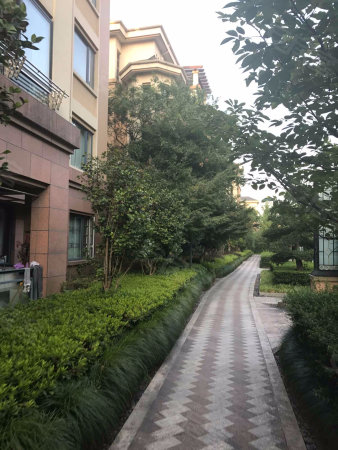绿都湖滨花园二期 三开间朝南 精装修只卖毛坯价 仅此一套