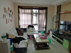 重庆人口在全国排名2020_世界城市人口排名2020