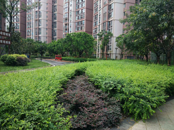 怡馨家园,梓州大道7100号-成都怡馨家园二手房,租房-成都安居客