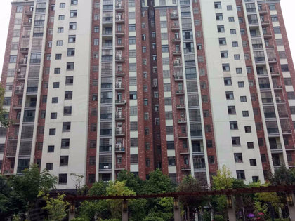 邾城未来人口_东汇城超市人口图片(2)