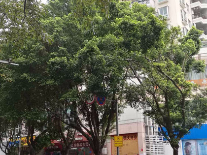 世纪名都人口_河北邢台世纪名都地图