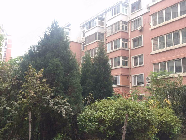承德小区 双桥小区 南园路小区 紫晶花园 实景图 1 8#xe