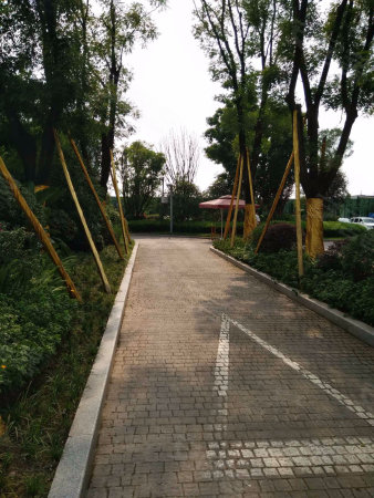 360万方中央轨道站小学商圈旁带巴蜀小学和八北岸亦庄公园图片