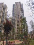 保水逸苑b区 天府新区-秦皇寺-保水南一街56号