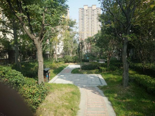 郑上路绕城高速 元正康郡 现房豪华联排别墅 带车库花园地下室