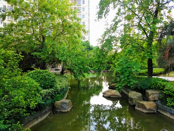 东区楼盘青浦小区重固实景景苑尚万科(上海别墅)别墅图1/4