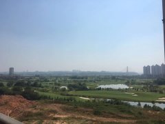 湖南有多少人口2019_湖南株洲市人口