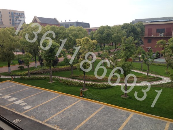 【诺诚1895】--创意标杆设计者的天堂,尽显时