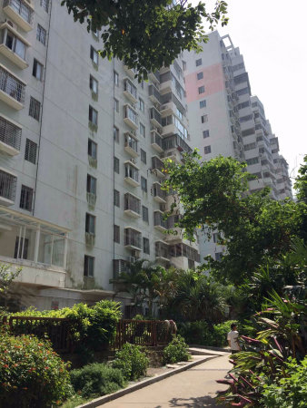 山木清华 精装大两房 双阳台 低 价抛售-杨华玲店铺-厦门安居客