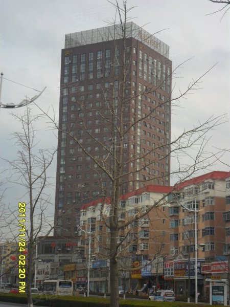 中阳自由港,红梅小区租房,岗西自由港精装一室