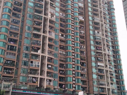 广州骏景花园人口_广州各区人口图