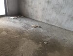 【东湖公园1号二手房房价走势_乐平市东湖公园仿古商业街东湖公园1号