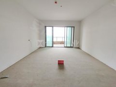 广州市番禺区2021GDP_深度剖析 哪里才是大湾区的 核心引擎(3)