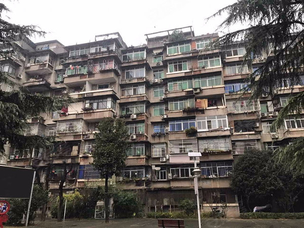武昌区杨园街柴东社区,才茂街-武汉武昌区杨园街柴东