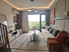 2020中山火炬开发区GDP_中山火炬开发区规划(2)