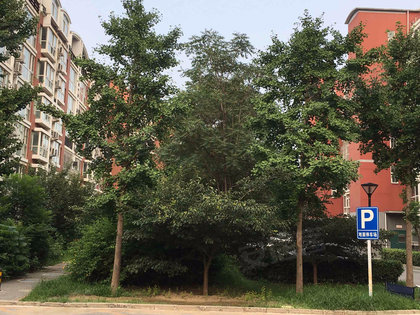 安宁庄和韵家园人口_美丽的家园绘画
