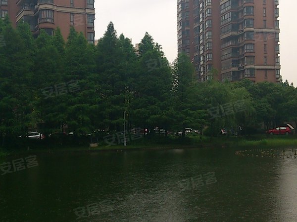 春申景城湖滨晨韵