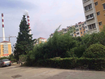只楚小区人口_人口普查小区样板图