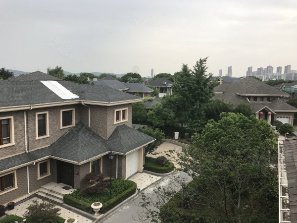 山水湖滨花园 联排别墅 前后花园 开间宽敞 采光好 满二无税