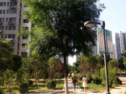 大金新苑人口_大金新苑幼儿园