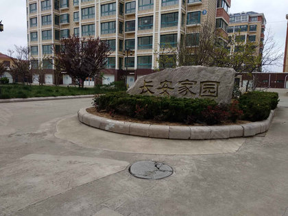 天鹅县长安家园有多少人口_天鹅卡通图片