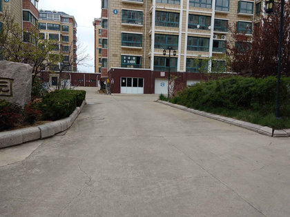 天鹅县长安家园有多少人口_天鹅卡通图片