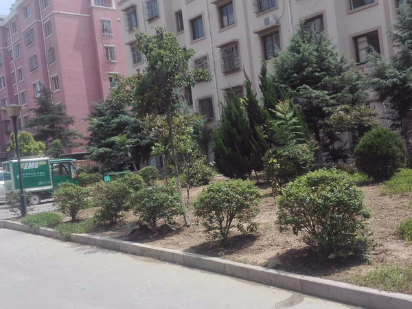 青岛小区 胶州小区 李哥庄小区 昱苑金岸丽景 实景图 1 10#xe023