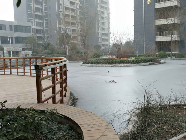 洛阳小区 伊川小区 城区小区 伊水府邸 实景图 1 8#xe012