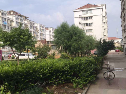 只楚小区人口_人口普查小区样板图