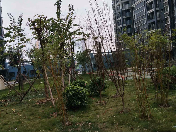 富乐新城3期